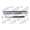Gas Strut Ford AP Front Window