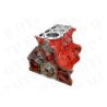 Short Motor
