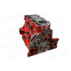 Short Motor