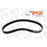 Fan Belt