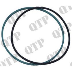 Segment de piston