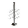 Exhaust Valve Standard (Pack de 4)