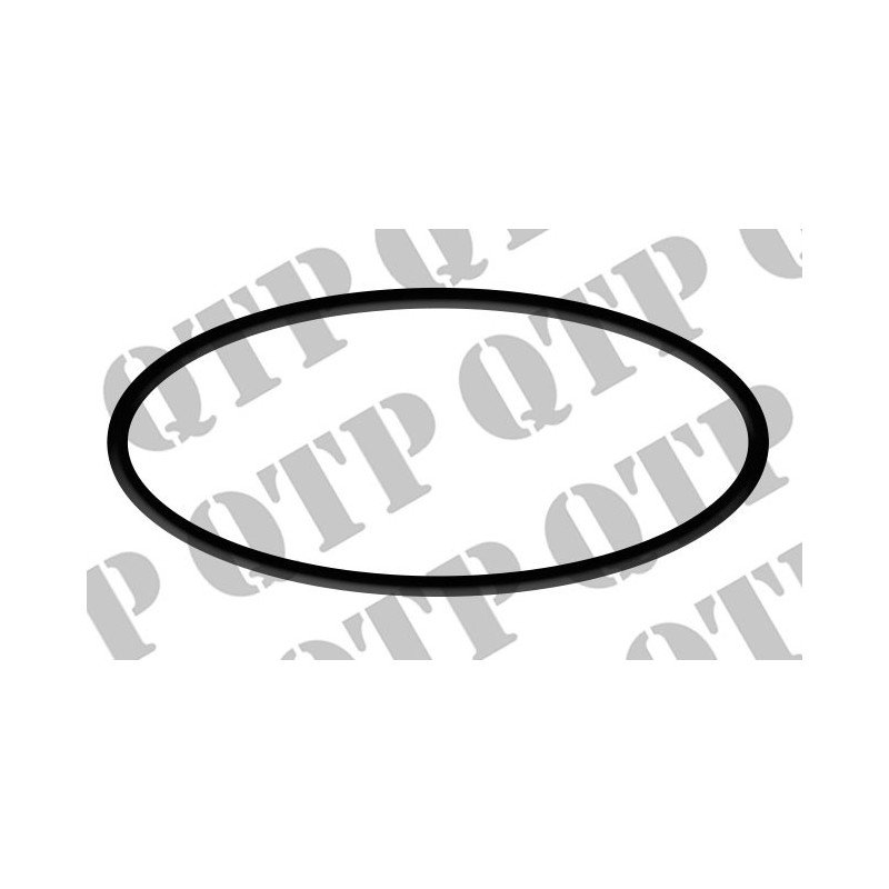 O Ring Input Shaft