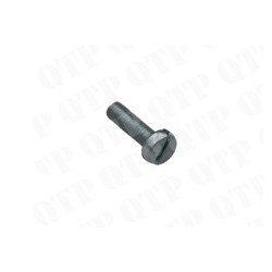 Locating Screw New Holland (Pack de 10)