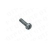 Locating Screw New Holland (Pack de 10)